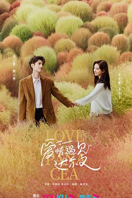 seo可以转哪些方向